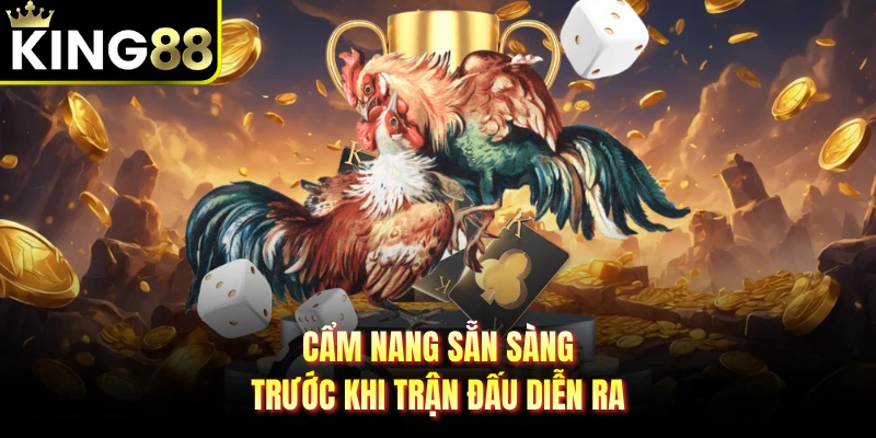 Cẩm nang sẵn sàng trước khi trận đấu diễn ra