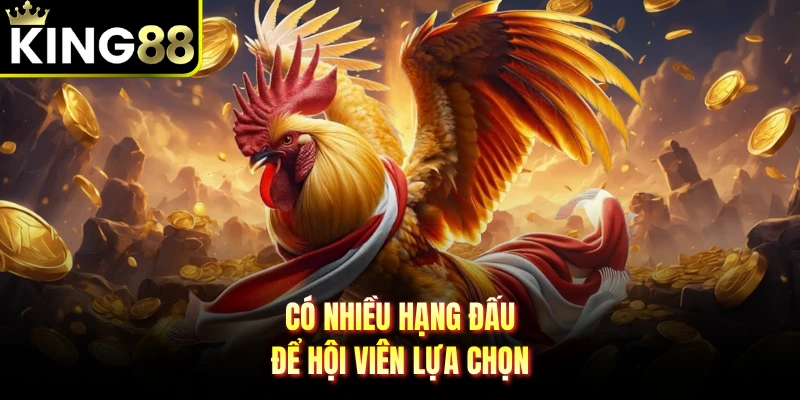 Có nhiều hạng đấu để hội viên lựa chọn